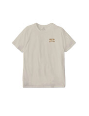 Marškinėliai vyrams Brixton 16965, smėlio spalvos kaina ir informacija | Vyriški marškinėliai | pigu.lt