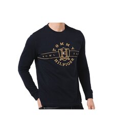 Tommy Hilfiger marškinėliai vyrams DW5, juodi kaina ir informacija | Vyriški marškinėliai | pigu.lt