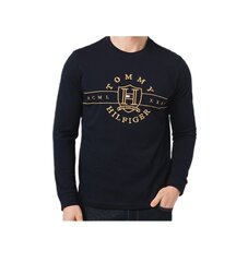 Tommy Hilfiger marškinėliai vyrams DW5, juodi kaina ir informacija | Vyriški marškinėliai | pigu.lt