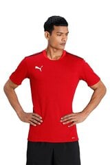 Marškinėliai vyrams Puma 704386 01, raudoni цена и информация | Мужские футболки | pigu.lt