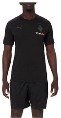 Marškinėliai vyrams Puma 759976 03, juodi kaina ir informacija | Vyriški marškinėliai | pigu.lt