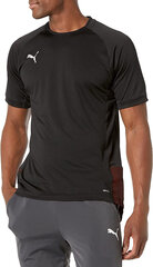 Marškinėliai vyrams Puma 656108 01, juodi kaina ir informacija | Vyriški marškinėliai | pigu.lt