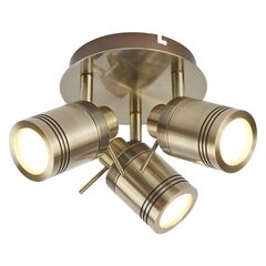Потолочный светильник прожектор Searchlight Samson 6603AB цена и информация | Потолочные светильники | pigu.lt