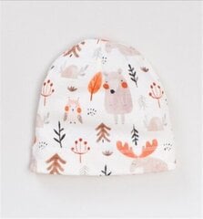 Шапка для мальчика Nini, ABN-3121 цена и информация | Шапки, перчатки, шарфики для новорожденных | pigu.lt