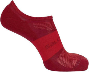 Sportinės kojinės vyrams Salomon LC134430056, įvairių spalvų, 2 vnt цена и информация | Мужские носки | pigu.lt
