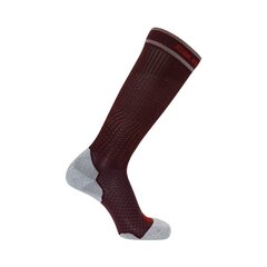Kojinės vyrams Salomon LC155630057, rudos kaina ir informacija | Vyriškos kojinės | pigu.lt