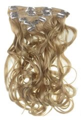 Prisegamų plaukų sruogos Vanessa Grey Clip In 24B kaina ir informacija | Plaukų aksesuarai | pigu.lt