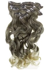 Prisegamų plaukų sruogos Vanessa Grey Clip In 6/24B(T613) kaina ir informacija | Plaukų aksesuarai | pigu.lt