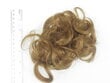 Prisegamų plaukų sruogos Vanessa Grey Clip In 27 kaina ir informacija | Plaukų aksesuarai | pigu.lt