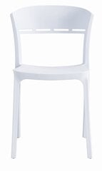Комплект из двух стульев цена и информация | Стулья для кухни и столовой | pigu.lt