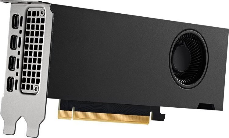 PNY Nvidia RTX 2000 Ada (VCNRTX2000ADA-PB) kaina ir informacija | Vaizdo plokštės (GPU) | pigu.lt