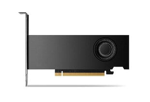 PNY Nvidia RTX 2000 Ada (VCNRTX2000ADA-PB) kaina ir informacija | Vaizdo plokštės (GPU) | pigu.lt