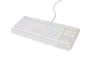 Natec Thor 230 TKL RGB Outemu Brown (NKG-2080) kaina ir informacija | Klaviatūros | pigu.lt