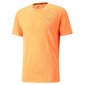 Sportiniai marškinėliai vyrams Puma 52315122, oranžiniai цена и информация | Sportinė apranga vyrams | pigu.lt