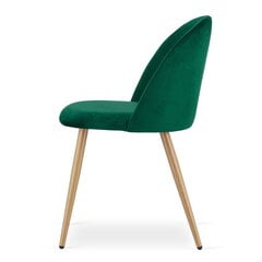 комплект из 3 стульев Leobert Bello, зеленый/коричневый цена и информация | Стулья для кухни и столовой | pigu.lt