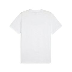 Футболка PUMA GRAPHIC TEE TRAIN 524289574099685559206 цена и информация | Мужские термобрюки, темно-синие, SMA61007 | pigu.lt