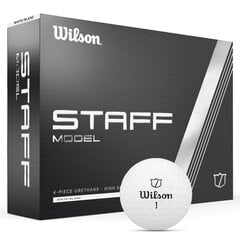 Набор мячиков для гольфа Wilson Staff Model, 12 шт. цена и информация | Гольф | pigu.lt