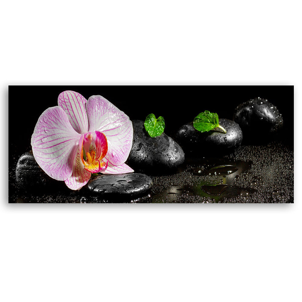 Reprodukcija Zen ir orchidėja kaina ir informacija | Reprodukcijos, paveikslai | pigu.lt