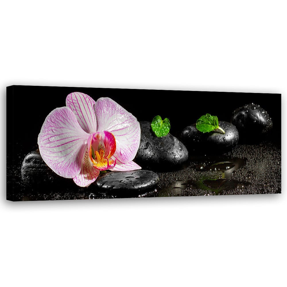 Reprodukcija Zen ir orchidėja kaina ir informacija | Reprodukcijos, paveikslai | pigu.lt