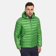 Мужская утепленная куртка Huppa весна-осень STEVO 2, зеленый цвет цена и информация | Мужские куртки | pigu.lt