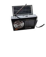Радио с солнечной панелью цена и информация | Радиоприемники и будильники | pigu.lt