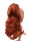 Prisegami plaukai Vanessa Grey 130 цена и информация | Plaukų aksesuarai | pigu.lt