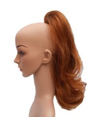 Prisegami plaukai Vanessa Grey 30/FR kaina ir informacija | Plaukų aksesuarai | pigu.lt