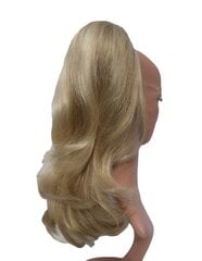Prisegami plaukai Vanessa Grey H16/613 kaina ir informacija | Plaukų aksesuarai | pigu.lt