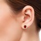 Auksiniai auskarai su ovaliu raudonu cirkonu ir apvadu kaina ir informacija | Auskarai | pigu.lt