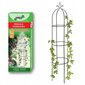 Augalų atrama Dekorstar, 190 cm цена и информация | Gėlių stovai, vazonų laikikliai | pigu.lt