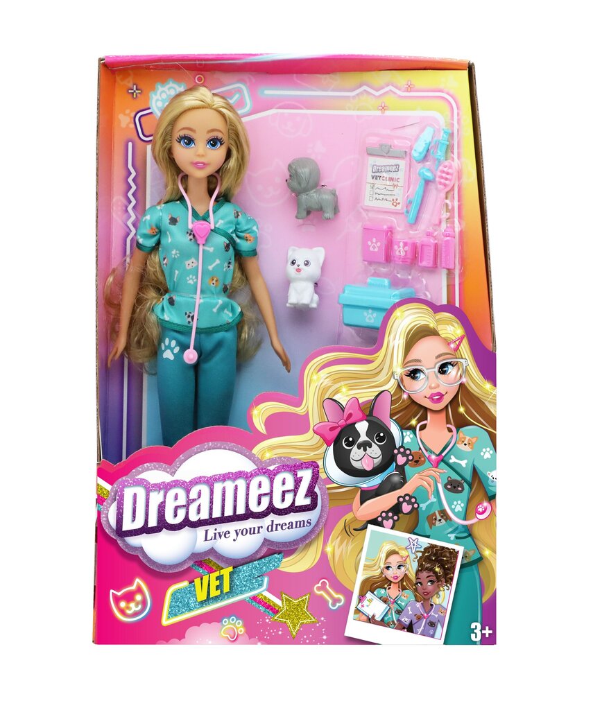 Lėlė su priedais Funville Dreameez Veterinaro rinkinys kaina ir informacija | Žaislai mergaitėms | pigu.lt