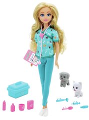 Lėlė su priedais Funville Dreameez Veterinaro rinkinys цена и информация | Игрушки для девочек | pigu.lt