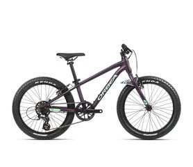 Vaikiškas dviratis Orbea MX Dirt 20", violetinis цена и информация | Велосипеды | pigu.lt