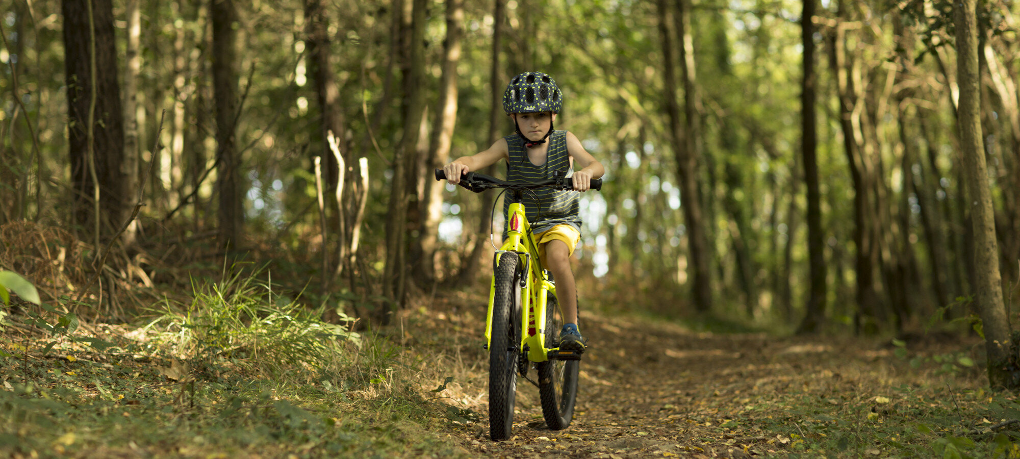 Vaikiškas dviratis Orbea MX 24", geltonas цена и информация | Dviračiai | pigu.lt
