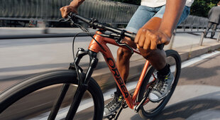 Kalnų dviratis Orbea Onna XL 29", rudas kaina ir informacija | Dviračiai | pigu.lt