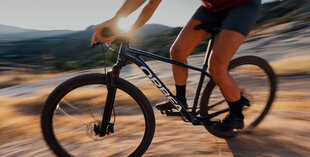 Kalnų dviratis Orbea Onna XL 29", violetinis цена и информация | Велосипеды | pigu.lt