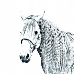 Ацтекская лошадь Подставка для ручек, подсвечник цена и информация | Kanceliarinės prekės | pigu.lt