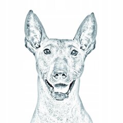 Голая мексиканская собака Стойка для ручек, свечи цена и информация | Kanceliarinės prekės | pigu.lt