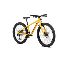 Vaikiškas dviratis Orbea MX 24", geltonas kaina ir informacija | Dviračiai | pigu.lt