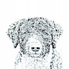 Испанская водяная собака Подставка для ручки, подсвечник цена и информация | Kanceliarinės prekės | pigu.lt