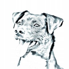 Датско-шведская деревенская собака Подставка для ручки цена и информация | Kanceliarinės prekės | pigu.lt