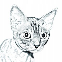 Девон рекс кошка Подставка для ручек, подсвечник цена и информация | Канцелярские товары | pigu.lt