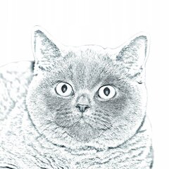 Британская короткошерстная кошка Подставка для ручки цена и информация | Канцелярские товары | pigu.lt