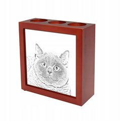 Британская короткошерстная кошка Подставка для ручки цена и информация | Kanceliarinės prekės | pigu.lt