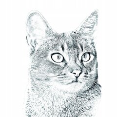 Абиссинская кошка Подставка для ручек, подсвечник цена и информация | Kanceliarinės prekės | pigu.lt