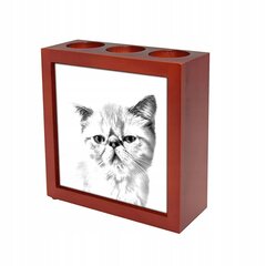 Экзотическая кошка Подставка для ручек, подсвечник цена и информация | Kanceliarinės prekės | pigu.lt
