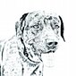 Raišklių laikiklis Katahulos leopardų veislės šuo kaina ir informacija | Kanceliarinės prekės | pigu.lt