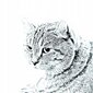 Raišklių laikiklis Highland Lynx katės kaina ir informacija | Kanceliarinės prekės | pigu.lt