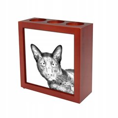 Кошка Гавана Браун Подставка для ручек, подсвечник цена и информация | Kanceliarinės prekės | pigu.lt