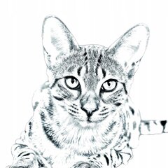 Египетская кошка Мау Подставка для ручки, подсвечник цена и информация | Kanceliarinės prekės | pigu.lt